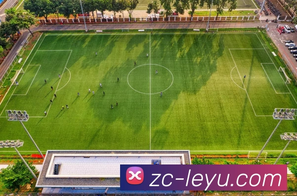 乐鱼正版入口服务体系